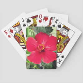 Baralho Flor Vermelha de Hibiscus Rosa-sinensis