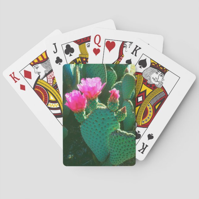 Baralho Flores de Cactus Beavertail (Verso)