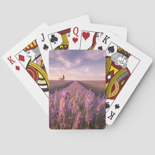 Baralho Flores | França Lavanda do Sul (Verso)