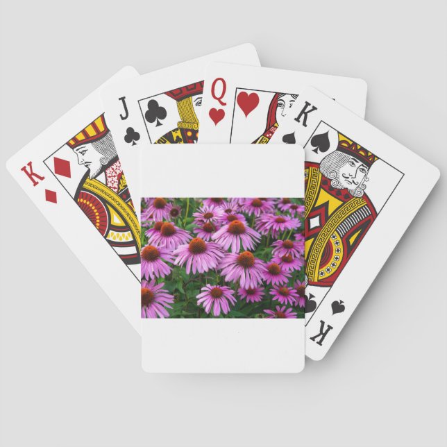 Baralho Flores | Jardim de Coneflower Rosa (Verso)