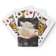 Flores Românticas de Rosa