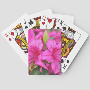 Baralho flores rosa azáleas, 杜 鹃 花