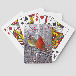 Baralho Floresta cardinal