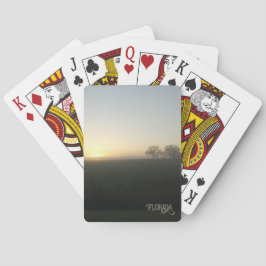 Baralho Flórida Fazenda Morning Sunrise Fotografia Natural