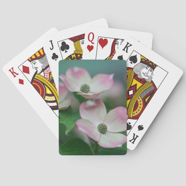 Baralho Flowers | Dogwood Blossoms (Verso)