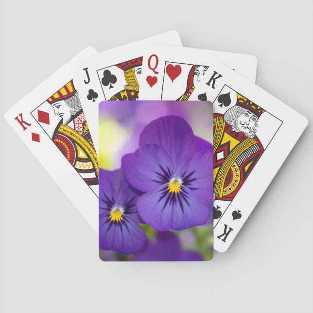 Baralho Flowers | Purple Pansies (Verso)