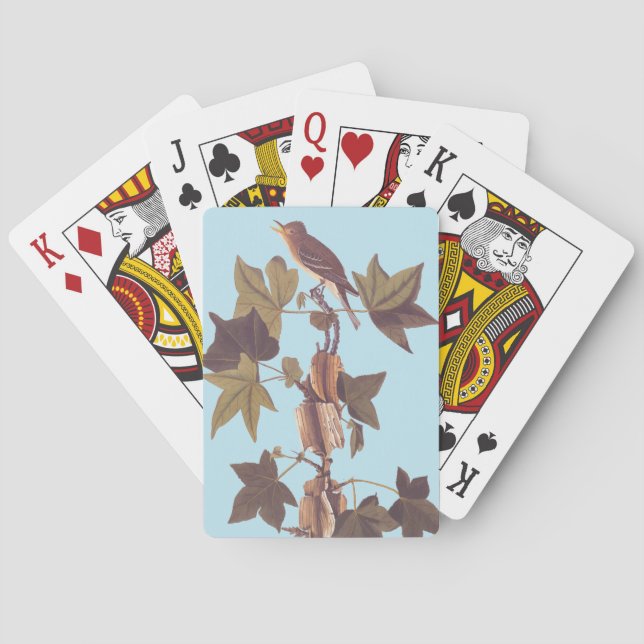 Baralho Flycatcher Songbird de Audubon Traill (Verso)