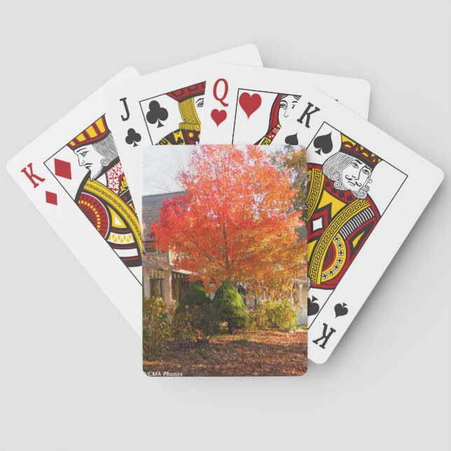 Baralho Folhagem de outono em Oak Bluffs - Vineyard de Mar (Verso)