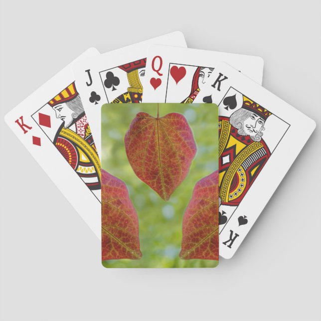 Baralho Folhas de Amor da Natureza (Verso)