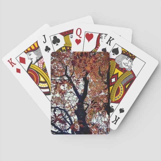 Baralho Folhas de ouro (Verso)