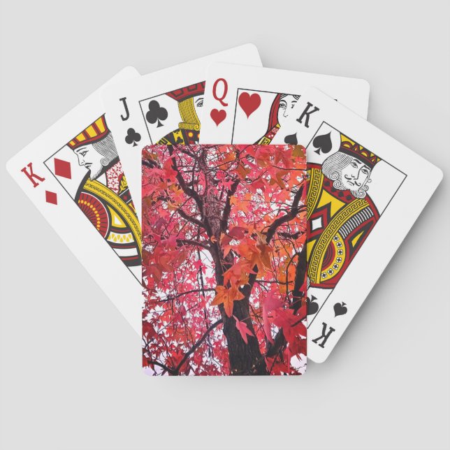 Baralho Folhas rosa (Verso)