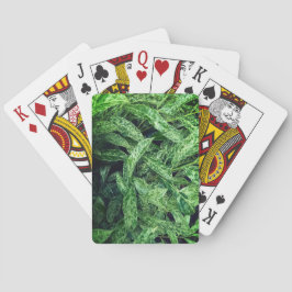 Baralho Folhas verdes