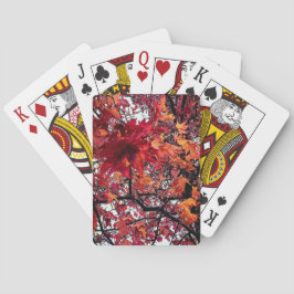 Baralho Folhas vermelhas e castanhas