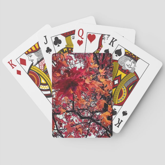 Baralho Folhas vermelhas e castanhas (Verso)
