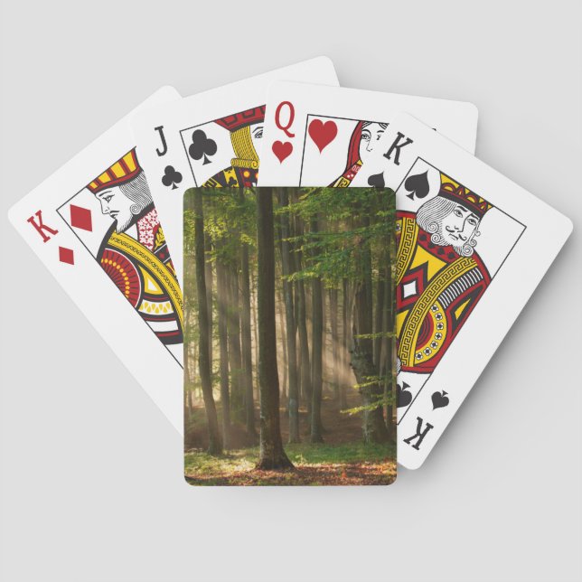 Baralho Forests | Autumn Forest (Verso)