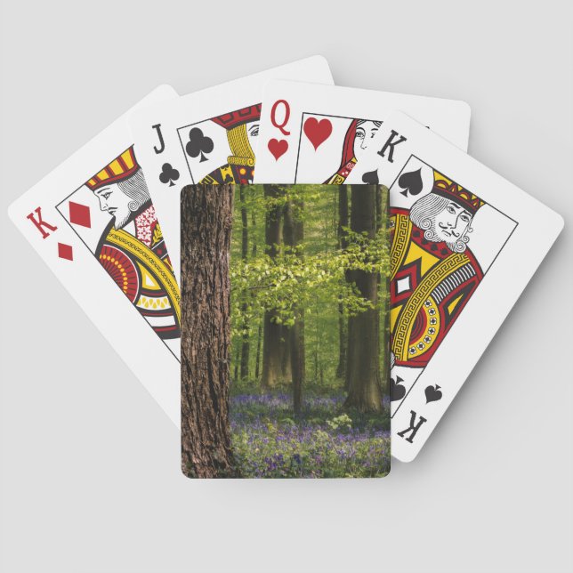 Baralho Forests | Bluebells in Belgium (Verso)