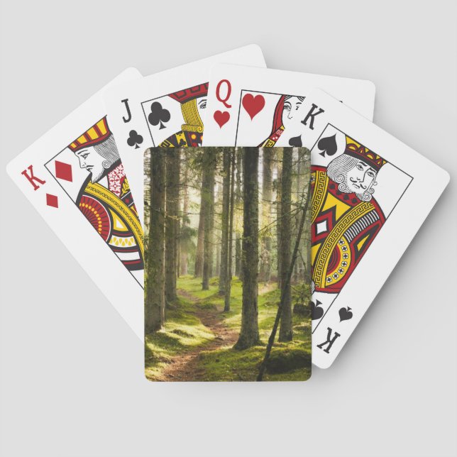 Baralho Forests | Boreal Forest Sweden (Verso)