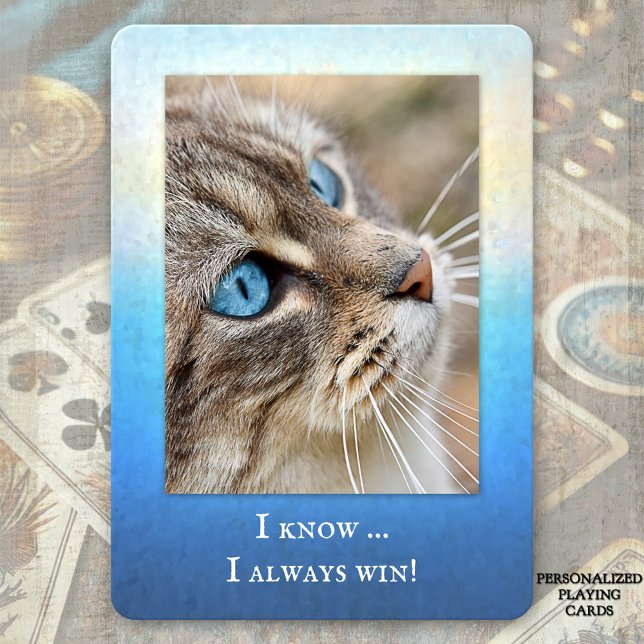 Baralho Foto de Gato Engraçado Tocando Cartões (Deck of playing cards featuring your own photo (optional) framed by a colorful grunge design)