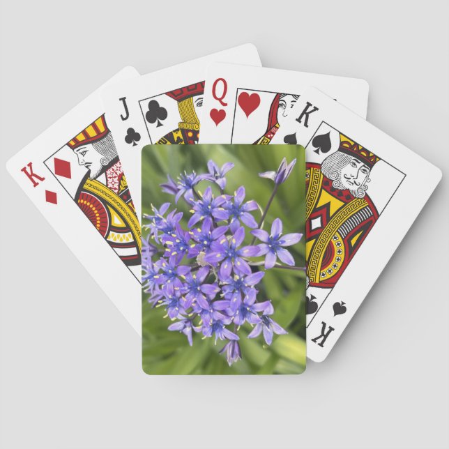 Baralho Foto de Natureza de Aproximação das Flores de Lula (Verso)