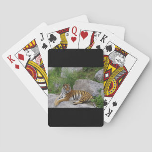 Baralho Foto de um tigre siberiano