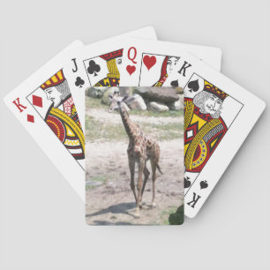 Baralho Foto de uma girafa bebê andando na natureza