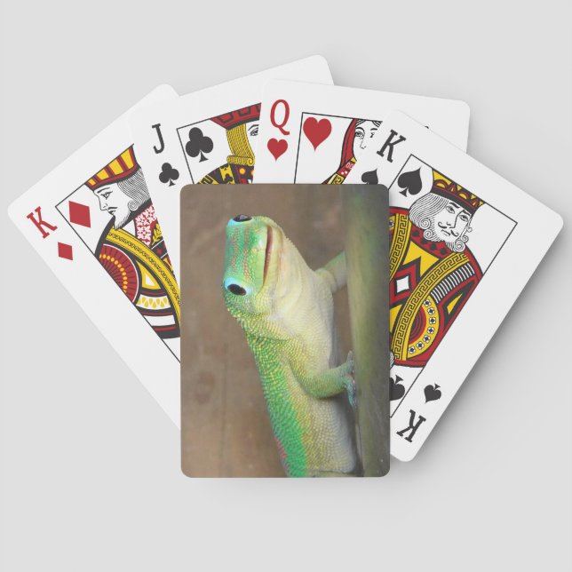 Baralho Foto do Gecko Dourado Dust Day (Verso)