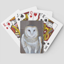 Baralho Foto do Raptor Barn Owl