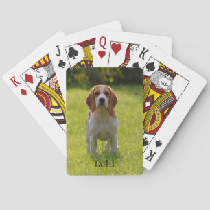 Baralho Foto e nome personalizados do cachorro Beagle