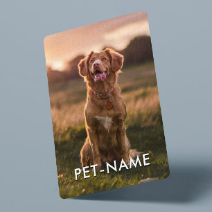 Baralho Foto Personalizada Com O Nome Do Seu Cachorro