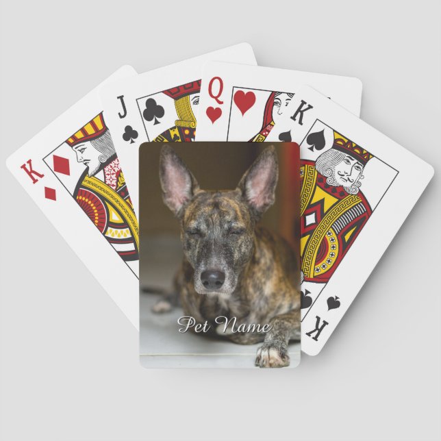 Baralho Foto personalizada de gato cachorro  (Verso)