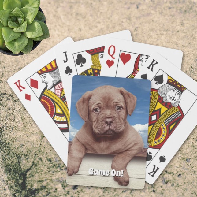 Baralho Fotografia Adorável de Cachorrinho Marrom (Cute brown puppy photograph playing cards. )