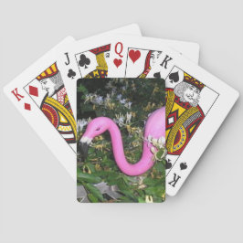 Baralho Frank o Flamingo Jogando Cartas