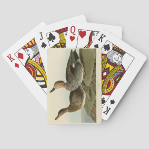 Baralho Gadwall Duck - John Audubon's Birds of America