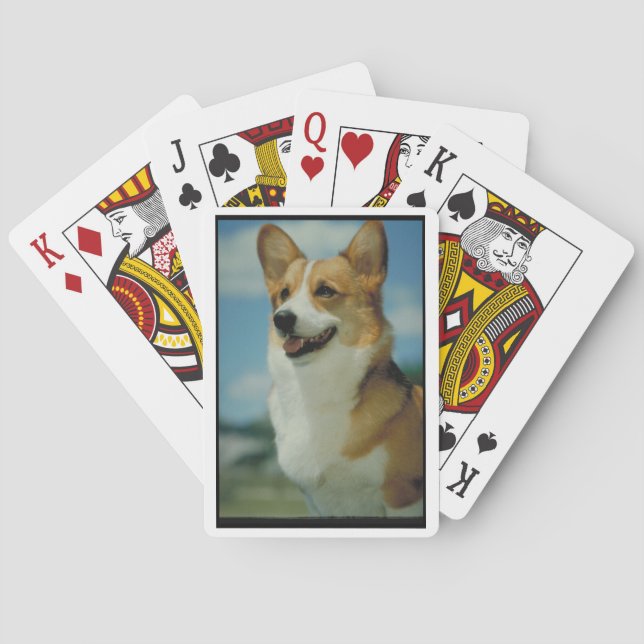 Baralho Galsh Corgi - Cartões (Verso)