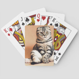 Baralho Gatinho Bonito Desenterrado