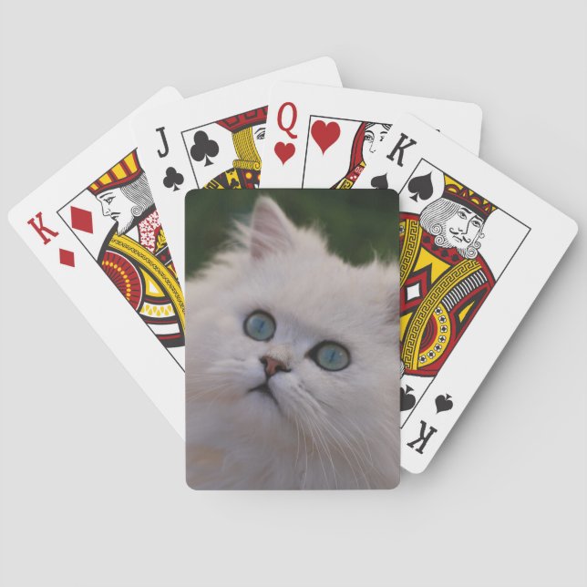 Baralho Gatinho branco bonito curioso (Verso)