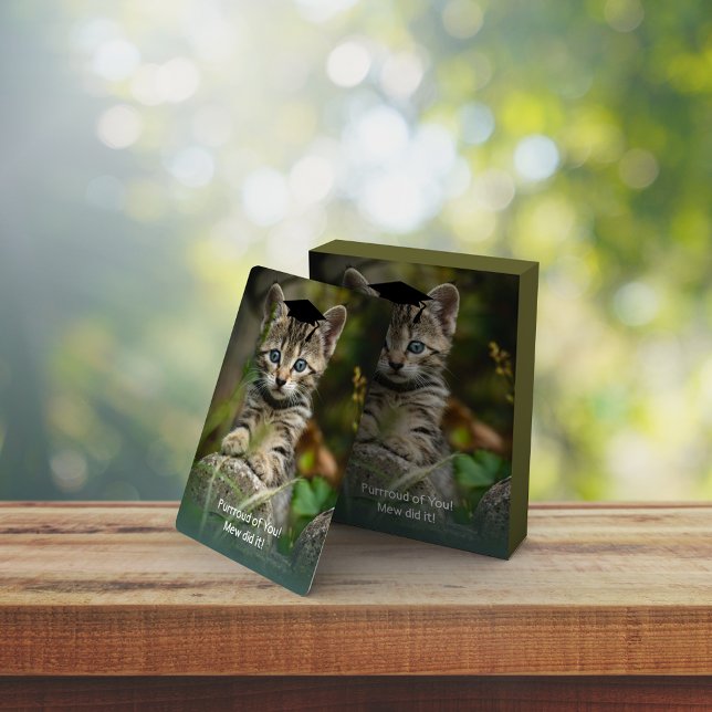 Baralho Gatinho de Graduação Bonito (Criador carregado)