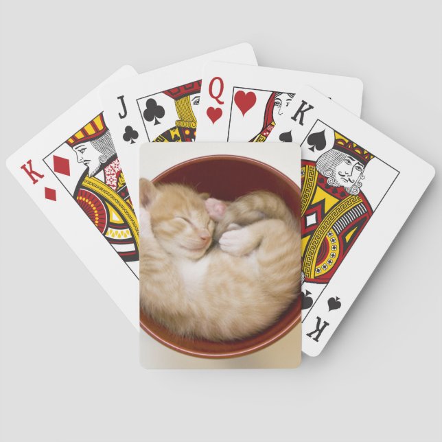 Baralho Gatinho do sono (Verso)