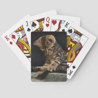 Baralho Gatinho que joga com cauda