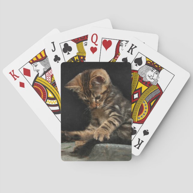 Baralho Gatinho que joga com cauda (Verso)