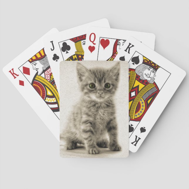 Baralho Gatinho Tabby (Verso)