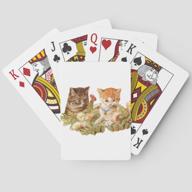 Baralho Gatinhos (Verso)
