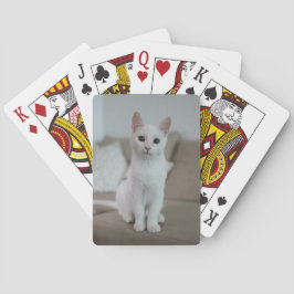 Baralho Gato branco | Zazzle_Growshop.
