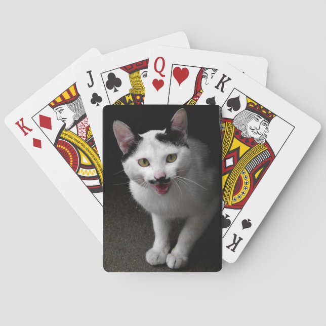 Baralho Gato com Bigode (Verso)