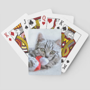 Baralho Gato de gato malhado cinzento bonito com Xmas do