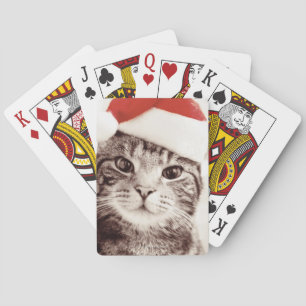 Baralho Gato de gato malhado doméstico que veste o chapé