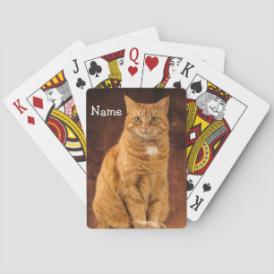 Baralho Gato de Tabby Laranja Personalizado