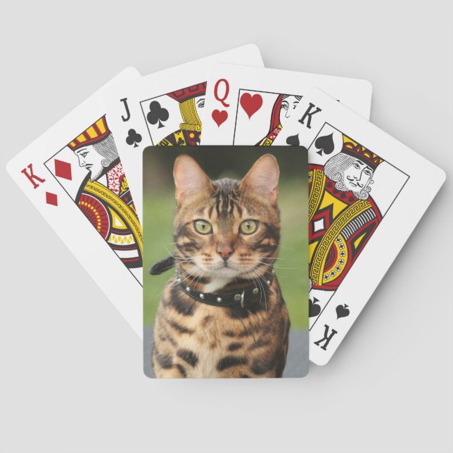 Baralho Gato de Tigre de Bengala (Verso)