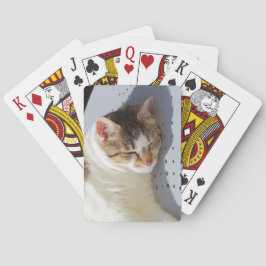 Baralho Gato dormindo em um jardim