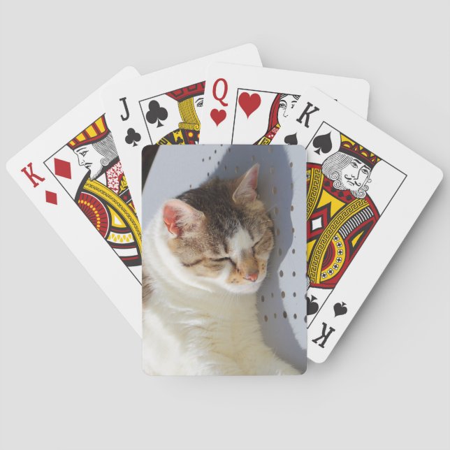 Baralho Gato dormindo em um jardim (Verso)